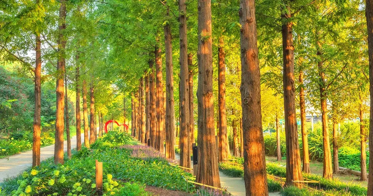 월드컵공원 / 사진=한국관광콘텐츠랩