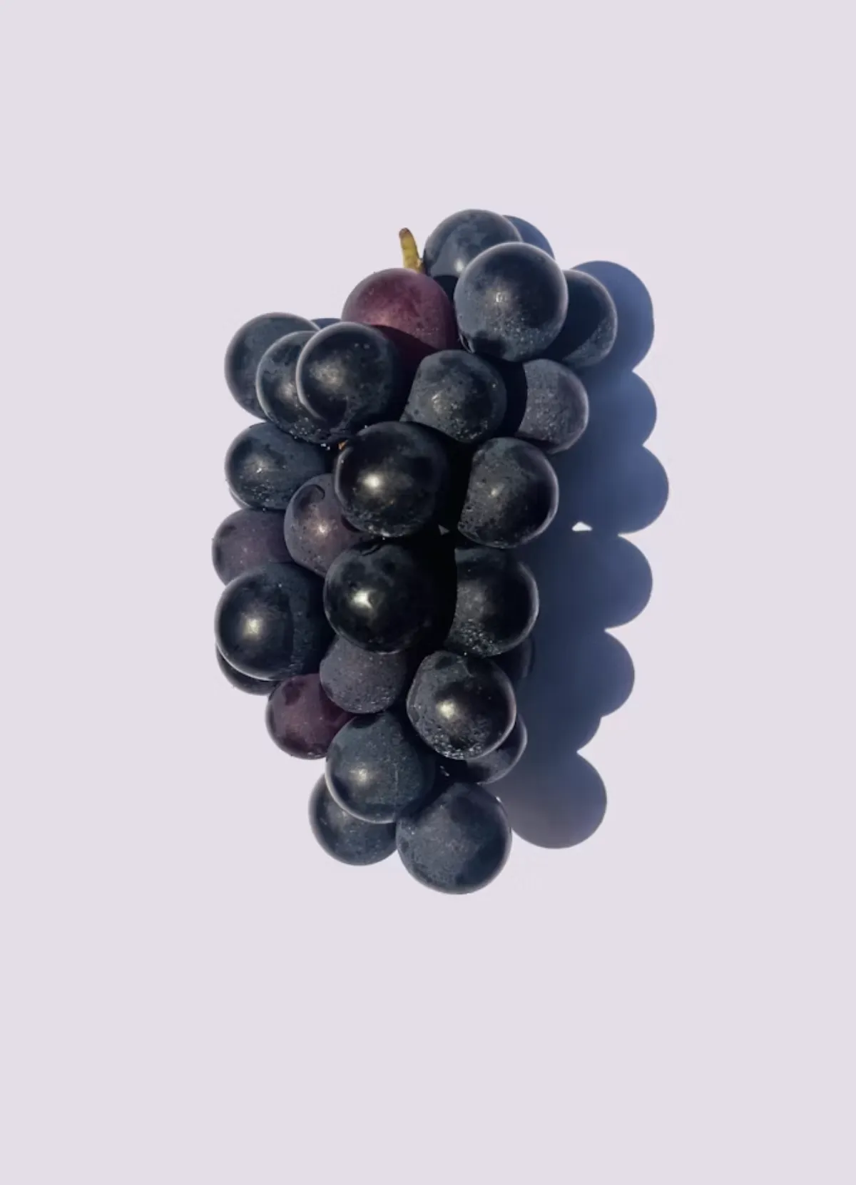 사진 : 포도 / Unsplash