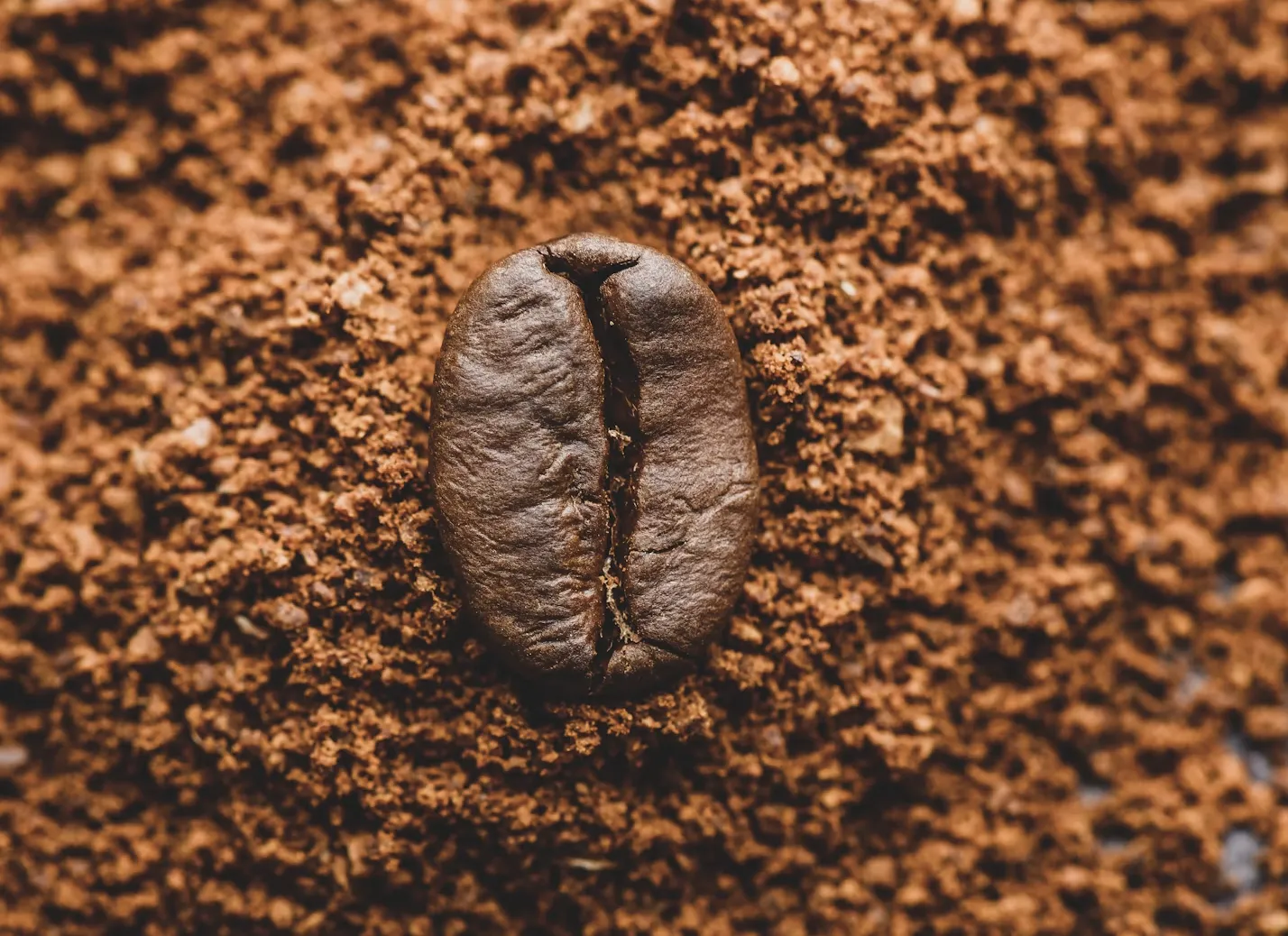 사진 : 커피가루 입자 / Unsplash