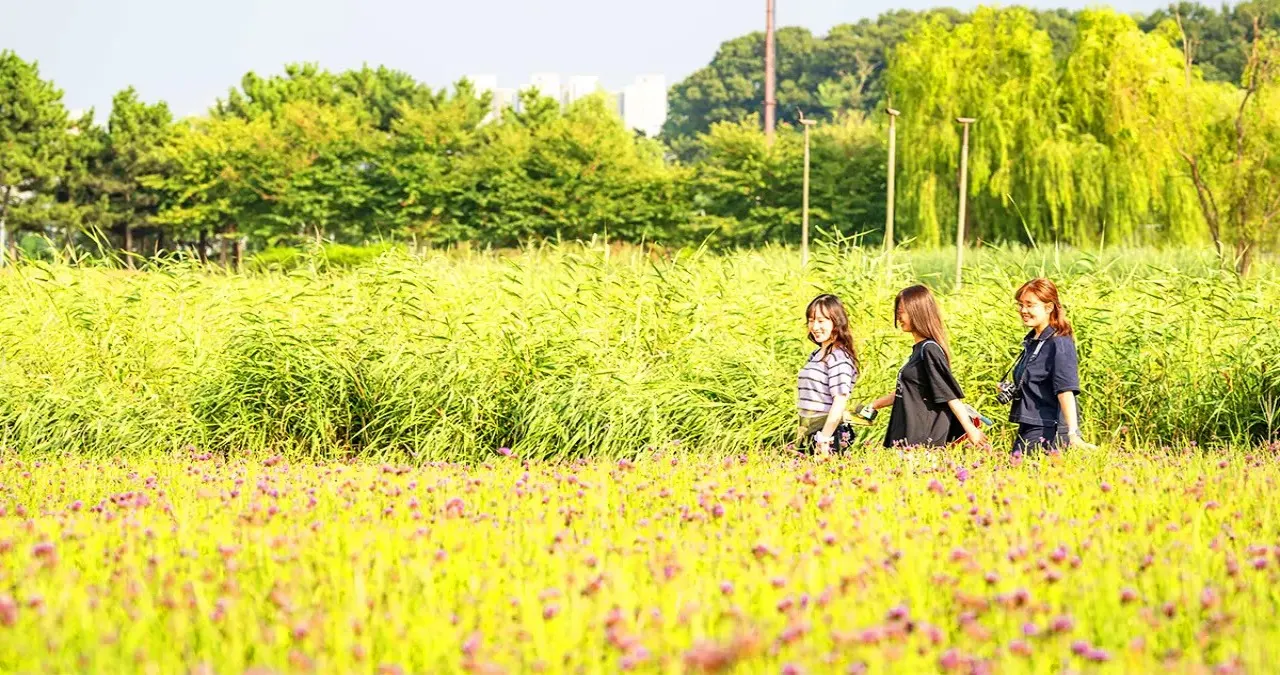 산책하는 사람들 / 사진=한국관광콘텐츠랩