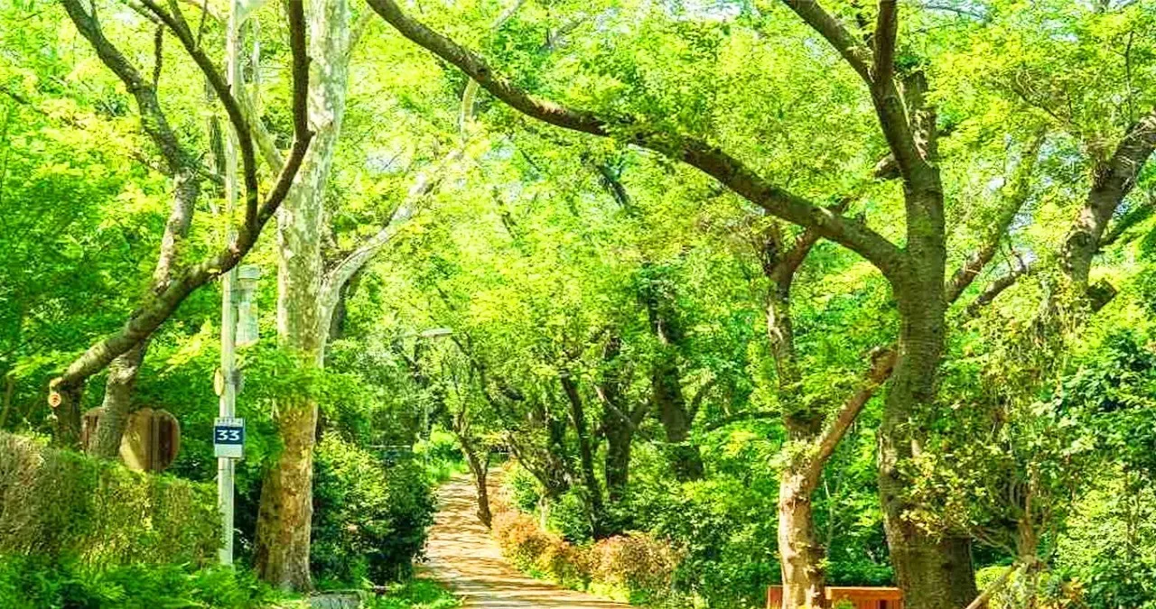 월명공원 풍경 / 사진=한국관광콘텐츠랩