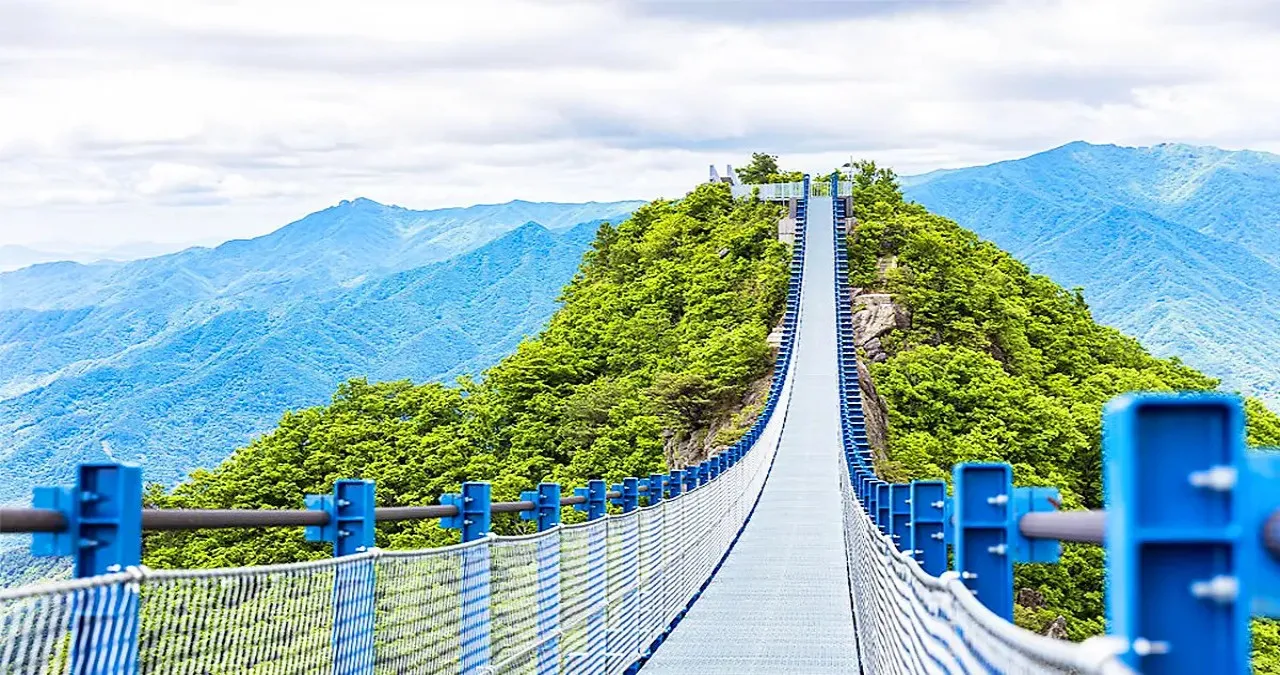 지리산 성제봉 신선대 구름다리 풍경 / 사진=하동군 공식 블로그