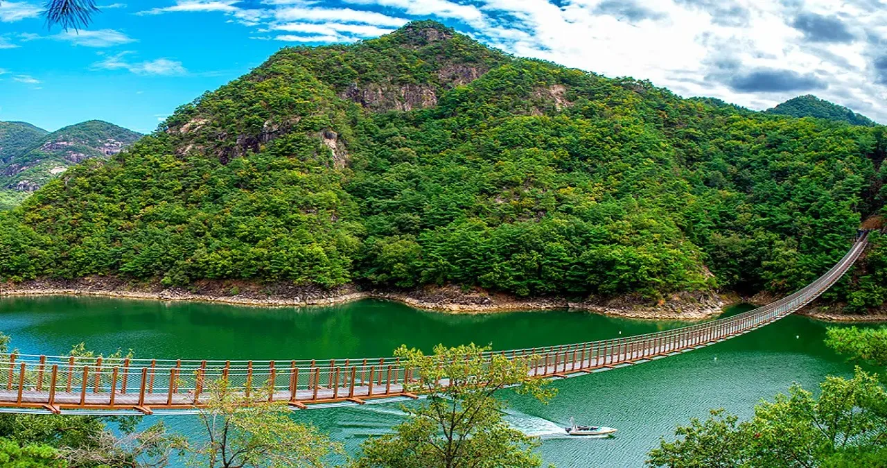옥순봉 출렁다리 모습 / 사진=제천 옥순봉 출렁다리