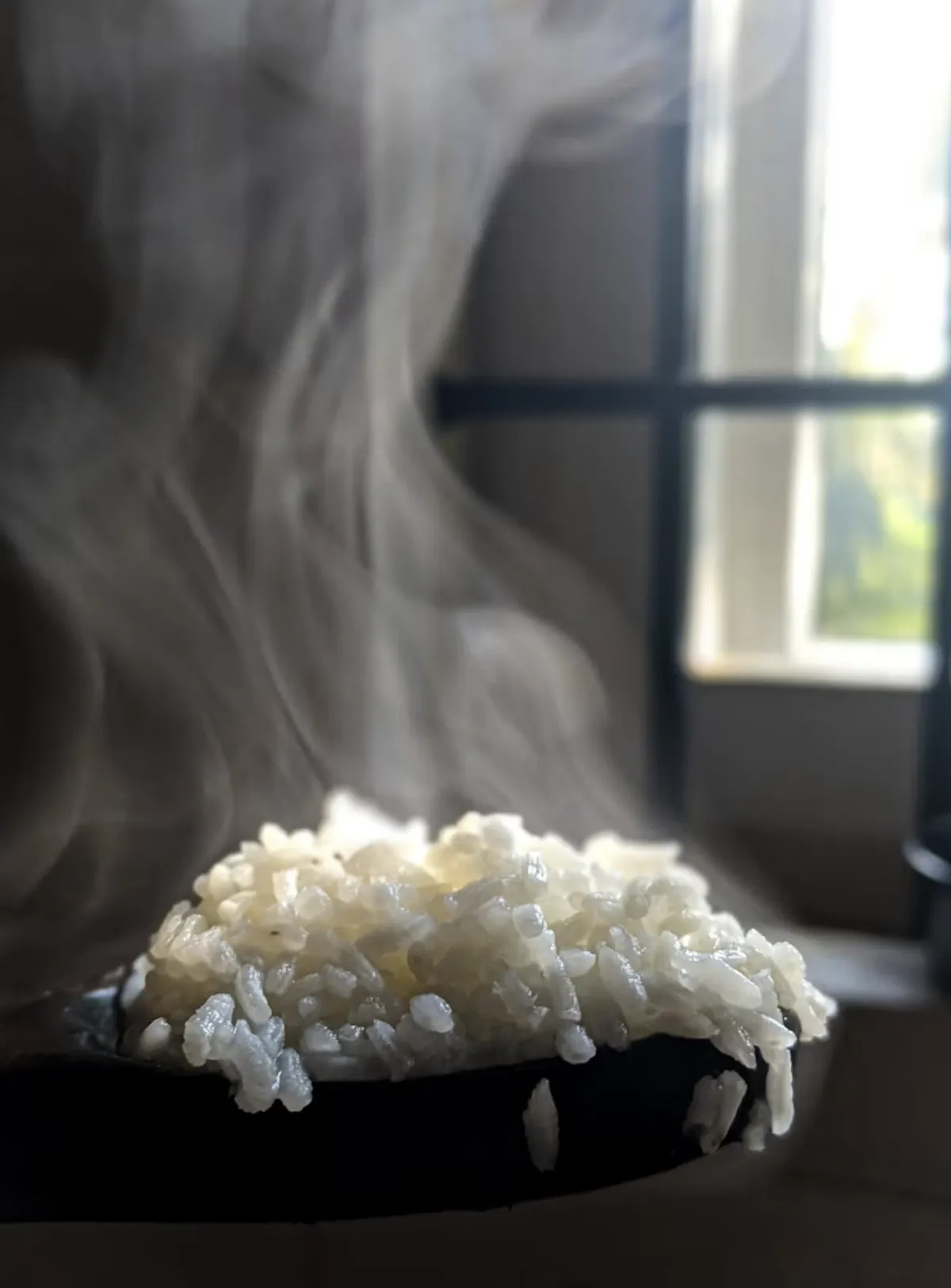 사진 : 밥 / unsplash.com