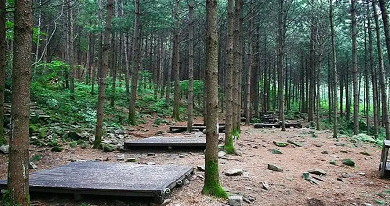 국립 산음자연휴양림 야영 데크 / 사진=국립 산음자연휴양림
