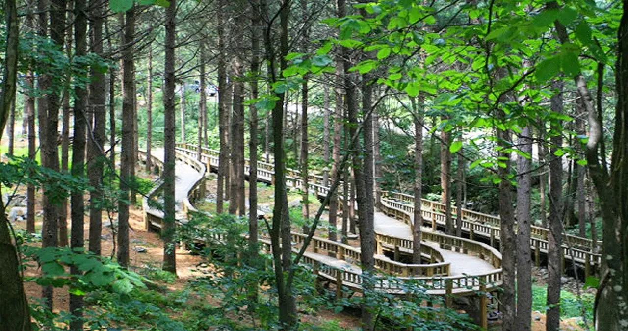 국립 산음자연휴양림 풍경 / 사진=국립 산음자연휴양림