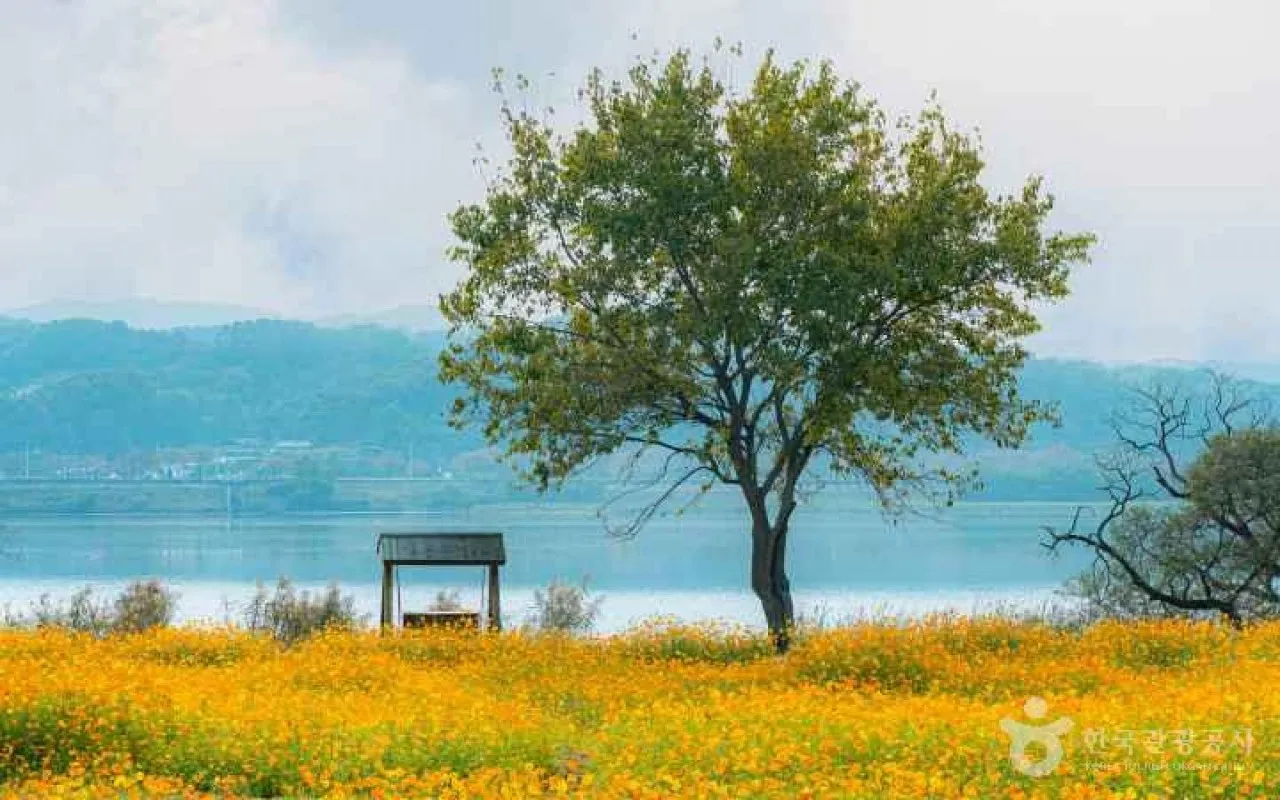남양주 물의정원 / 출처: 한국관광공사