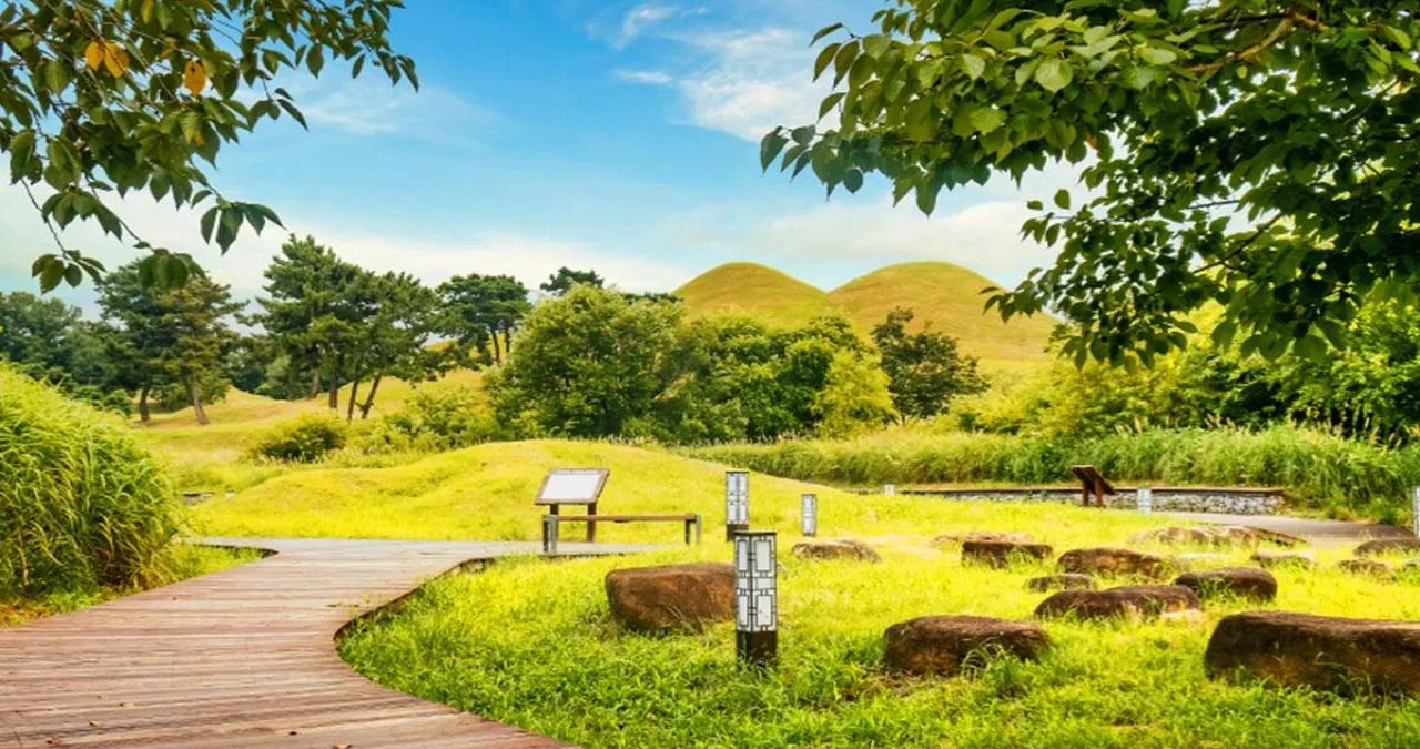 고군분 능선 산책길 / 사진=대구트립로드