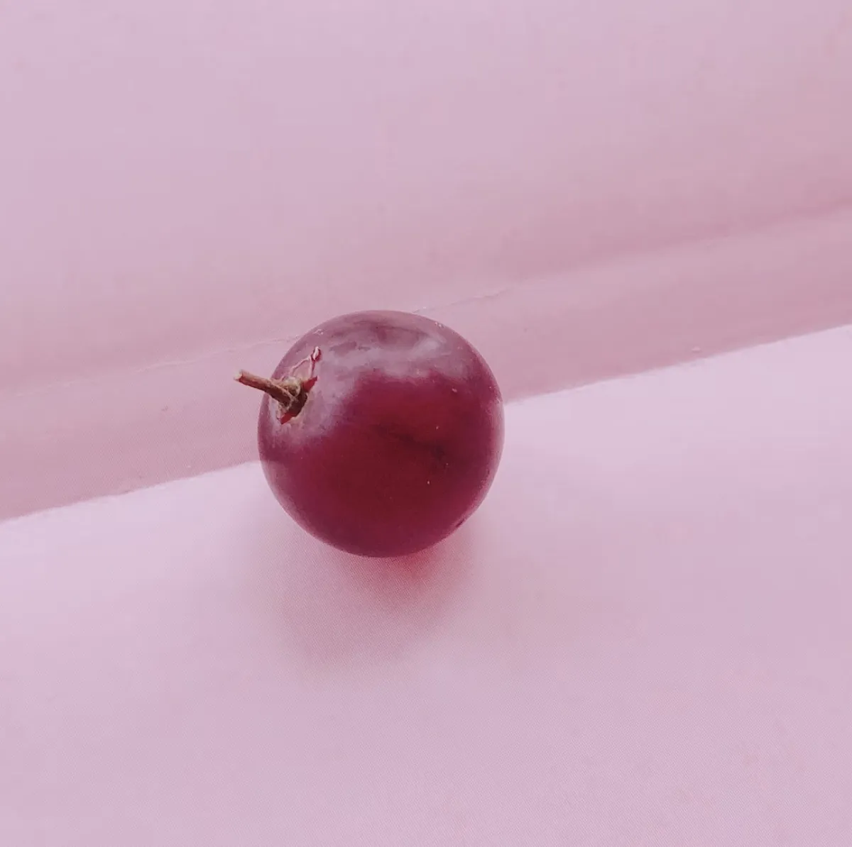 사진 : 포도알 / unsplash.com