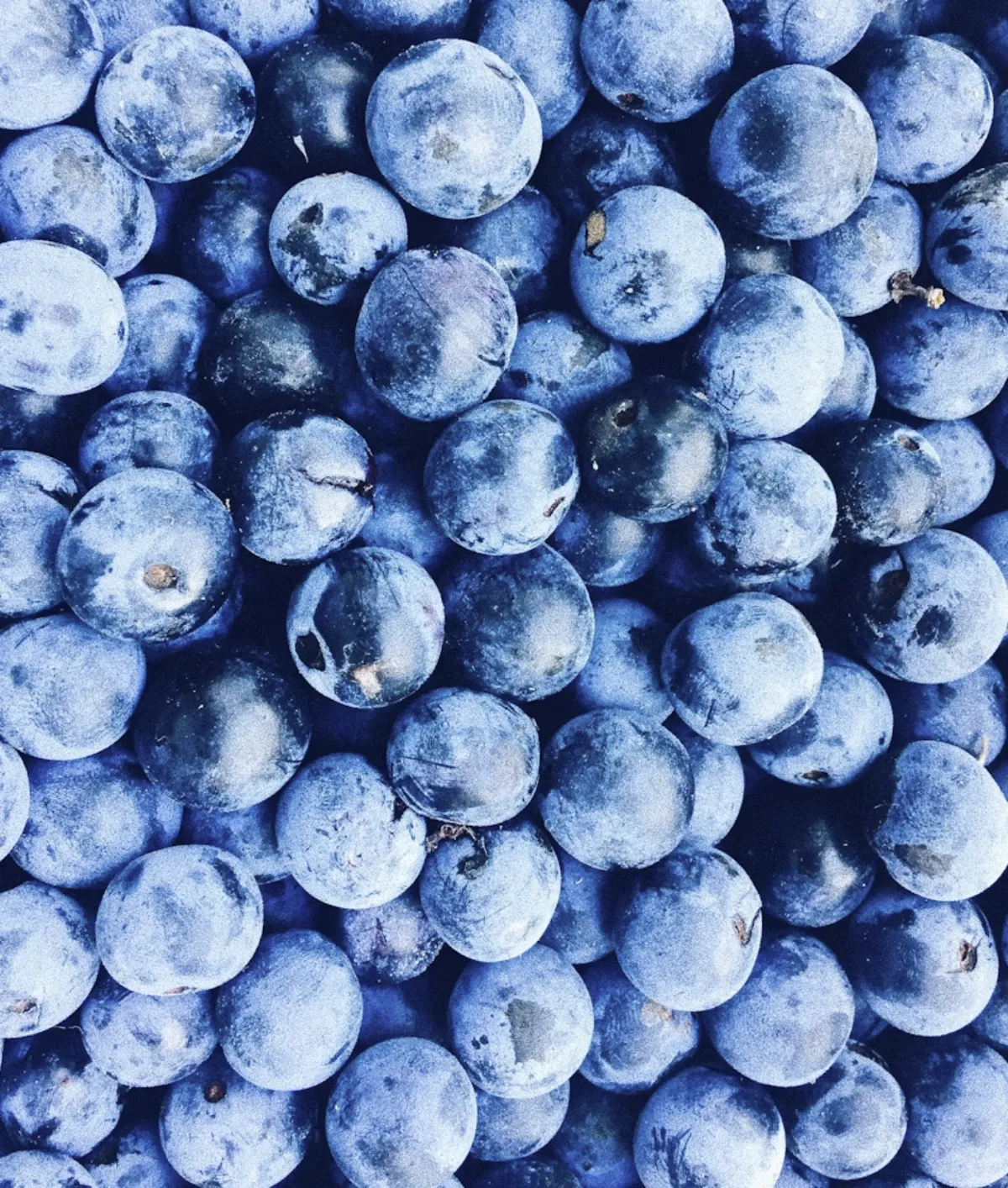 사진 : 냉동 블루베리 / unsplash.com