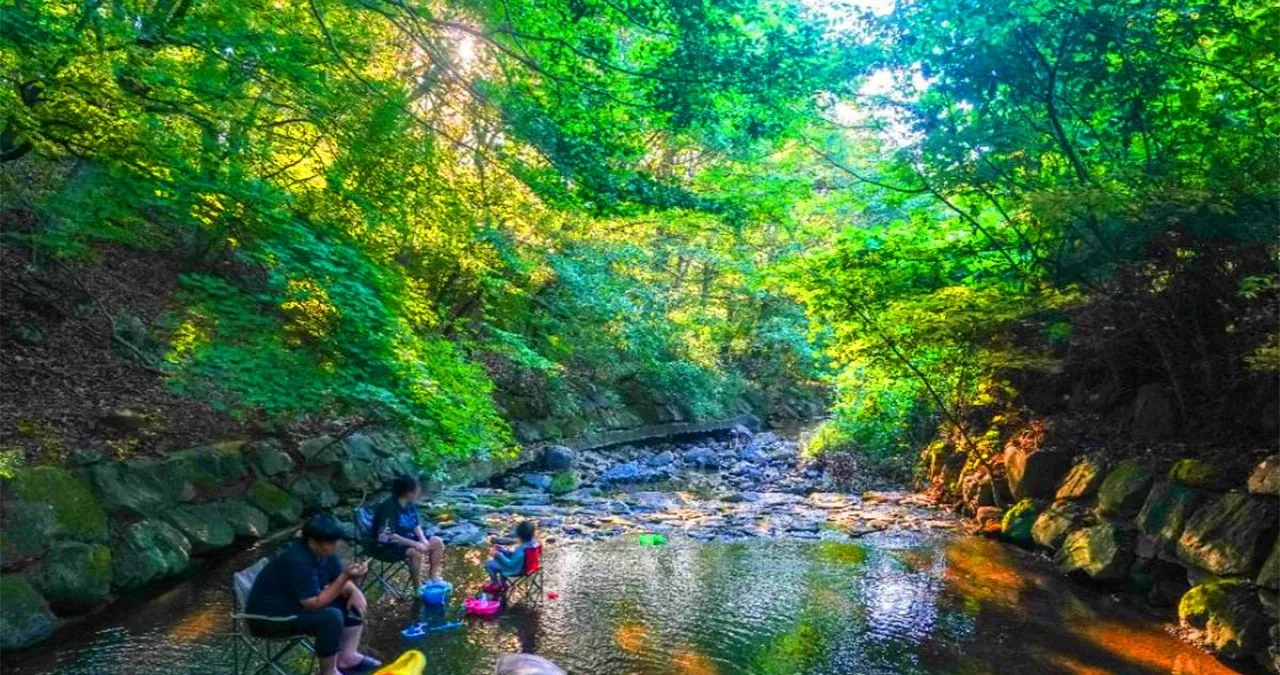 금화계곡 물놀이 / 사진=한국관광콘텐츠랩