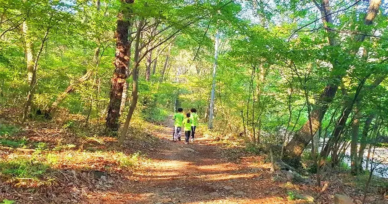 템플스테이 모습 / 사진=대한불교 조계종 반야사