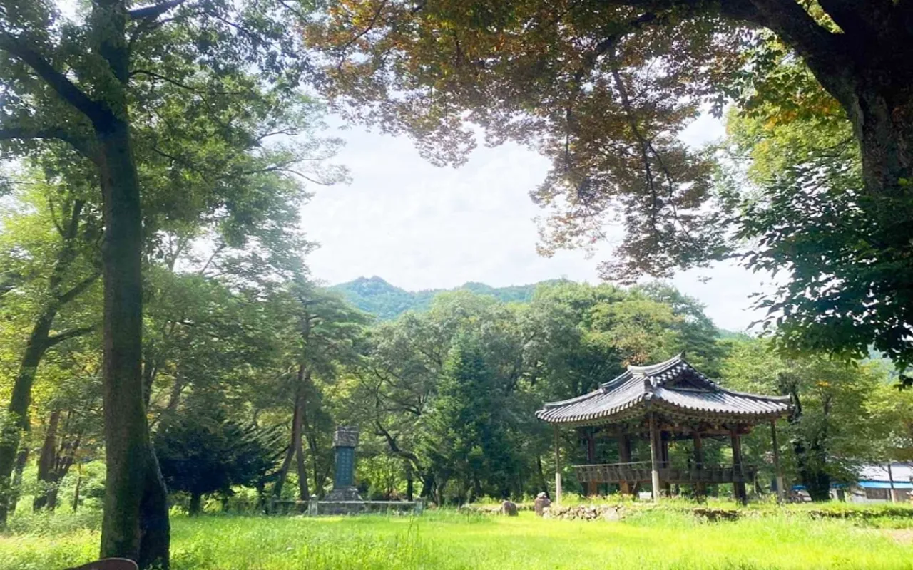 갈계숲 / 사진=한국관광콘텐츠랩