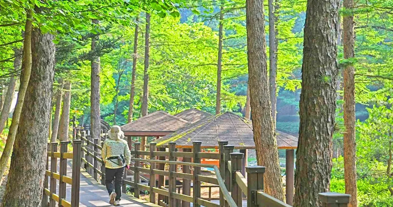 음성 봉학골 산림욕장 / 사진=한국관광콘텐츠랩