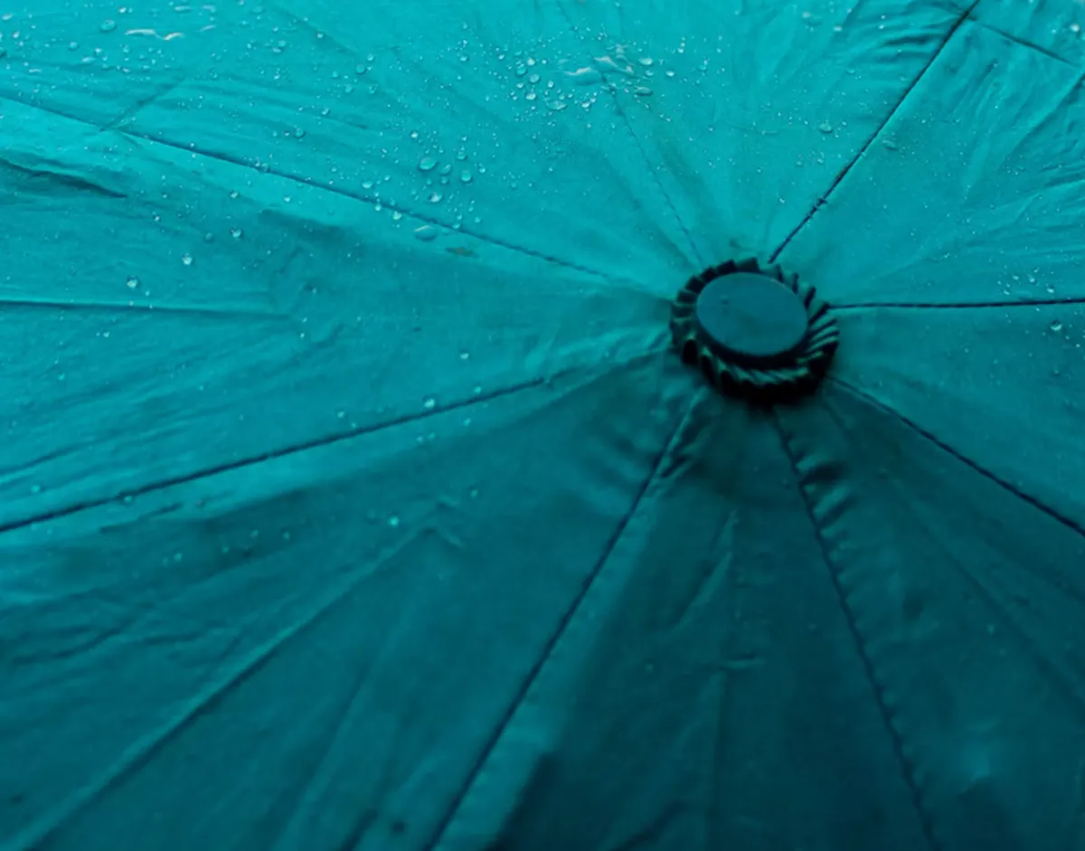 사진 : 우산 / unsplash.com