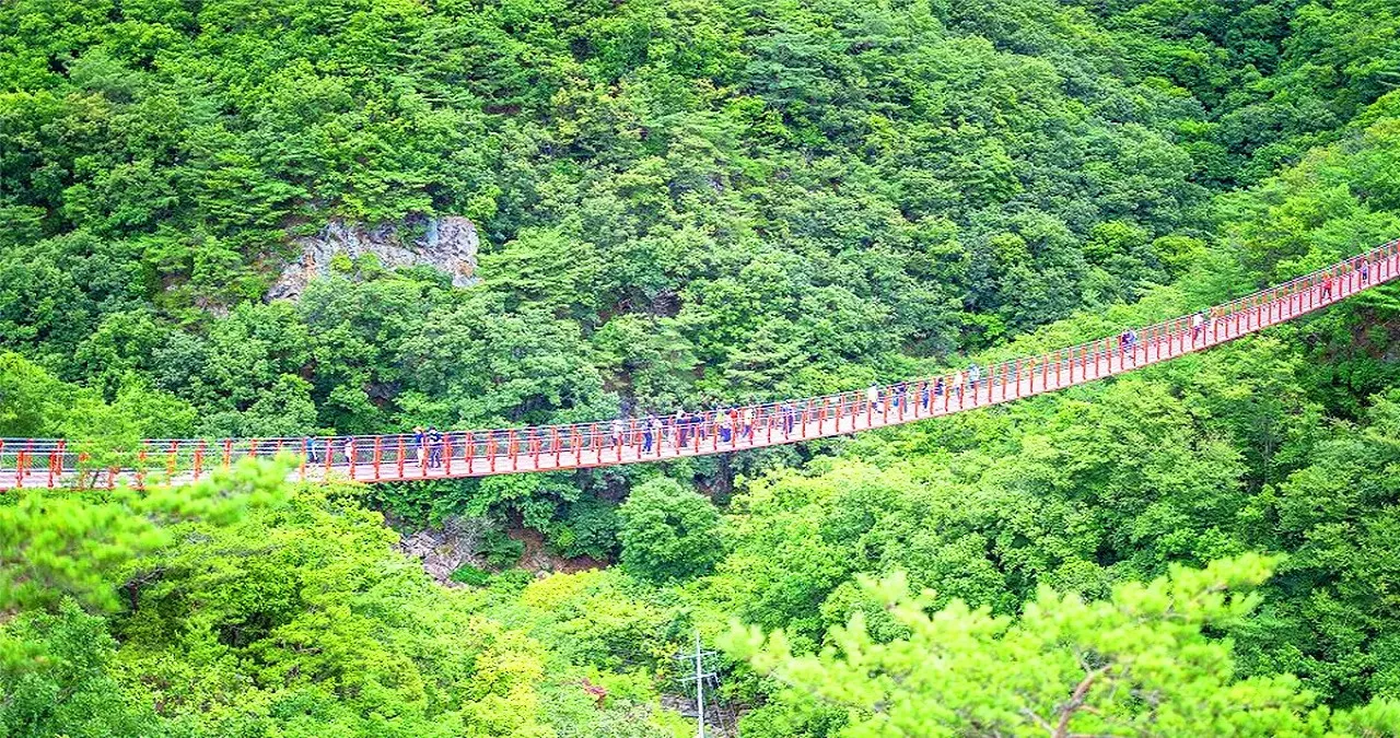감악산 출렁다리 풍경 / 사진=경기도 뉴스포털