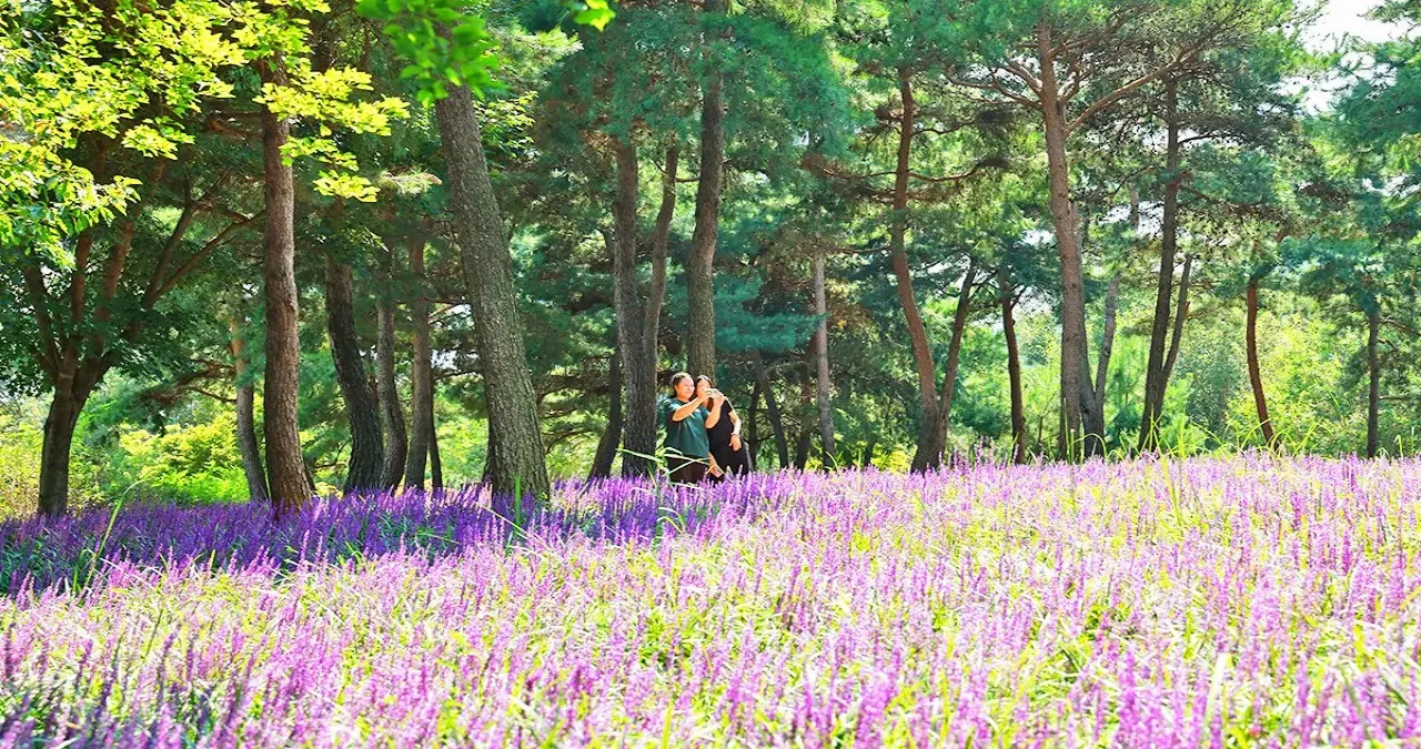 단성묵곡생태숲 풍경 / 사진=산청시
