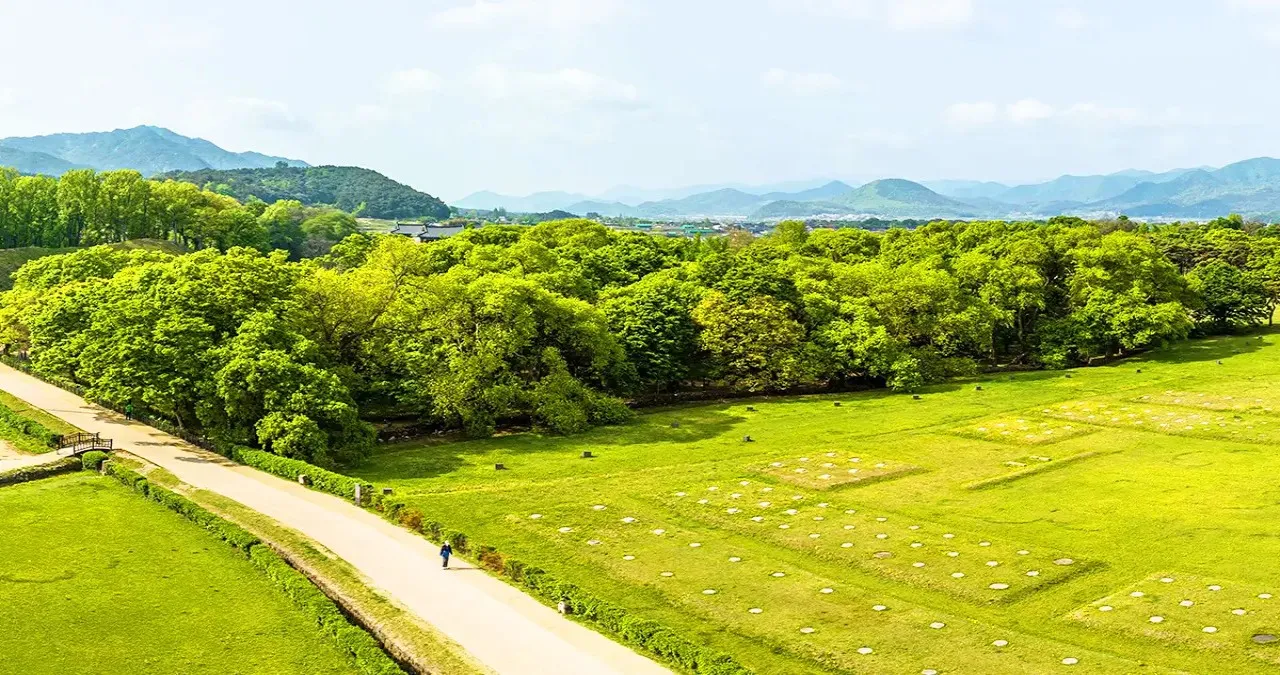경주 계림 전경 / 사진=한국관광콘텐츠랩