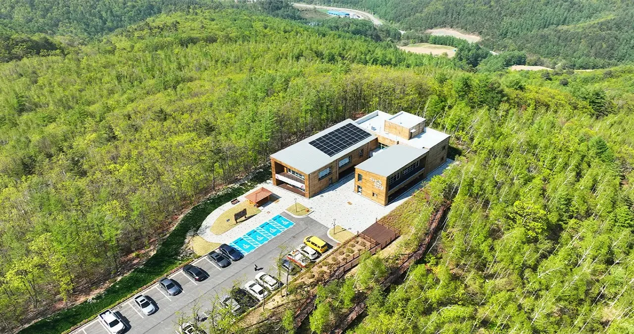 태백 매봉산 천상의 숲 / 사진=매봉산천상의숲