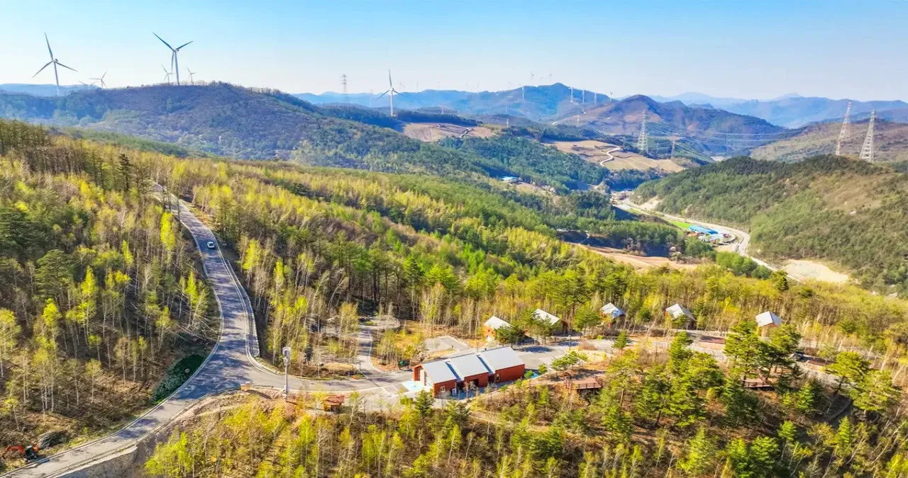 매봉산 천상의 숲 풍경 / 사진=매봉산천상의숲