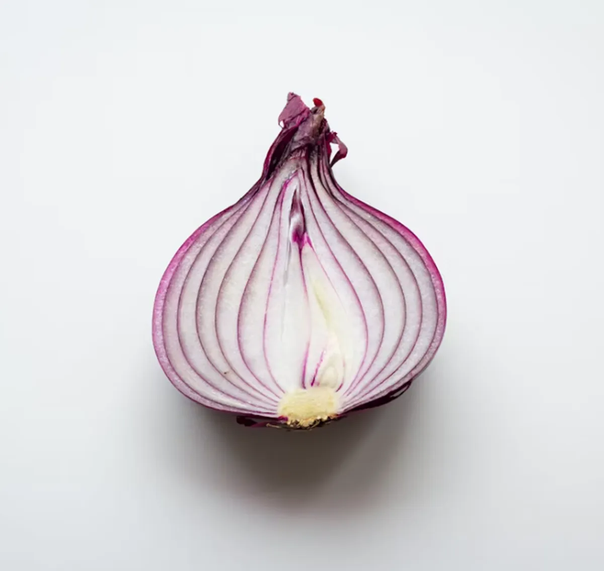 사진 : 자색 양파 / unsplash.com