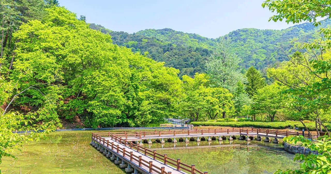 홍천 수타사 데크길 / 사진=한국관광콘텐츠랩