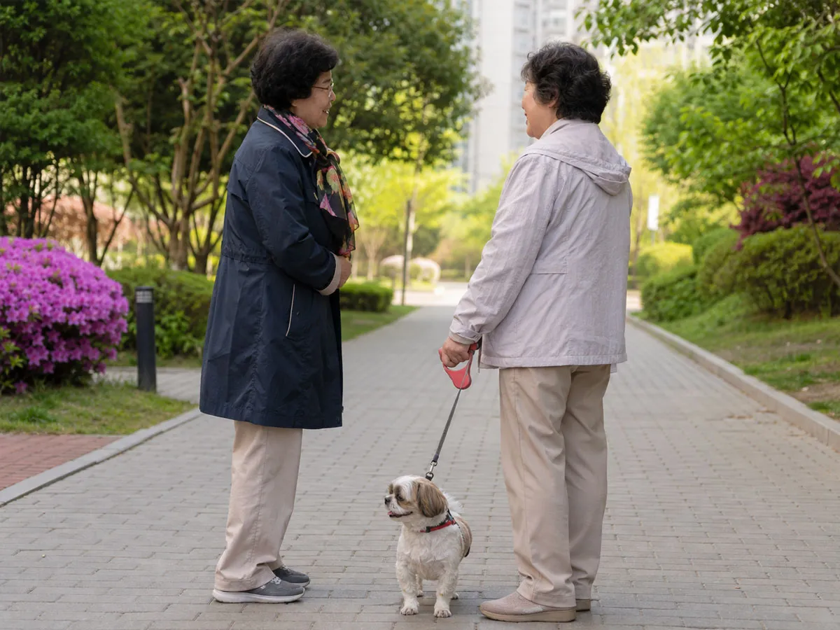 반려견과 함께 걷다 이웃과 대화를 나누는 모습. 반려견 산책은 자연스럽게 사람 간 교류를 늘리고 고립감을 줄이는 계기가 된다.