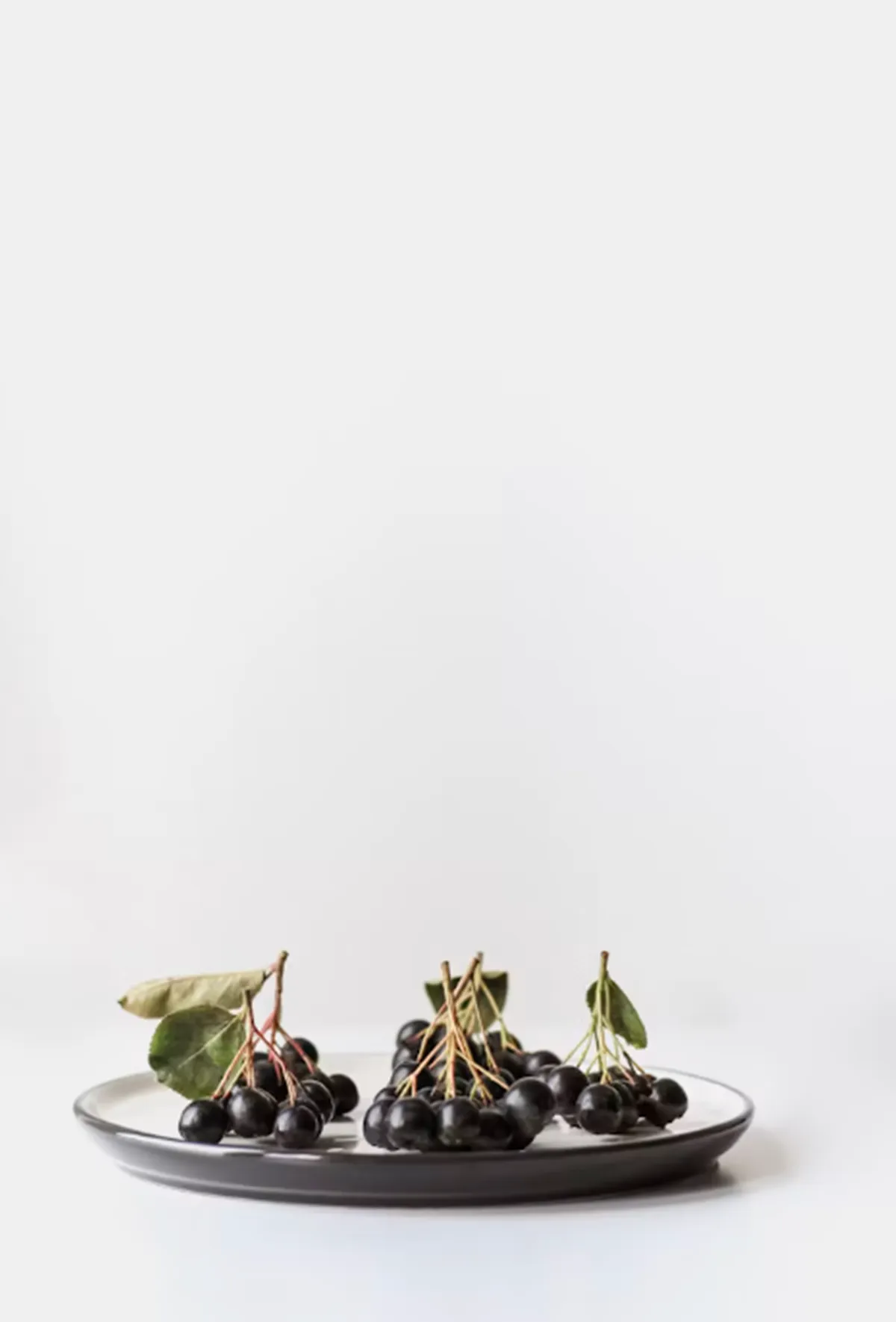 사진 : 아로니아 / unsplash.com