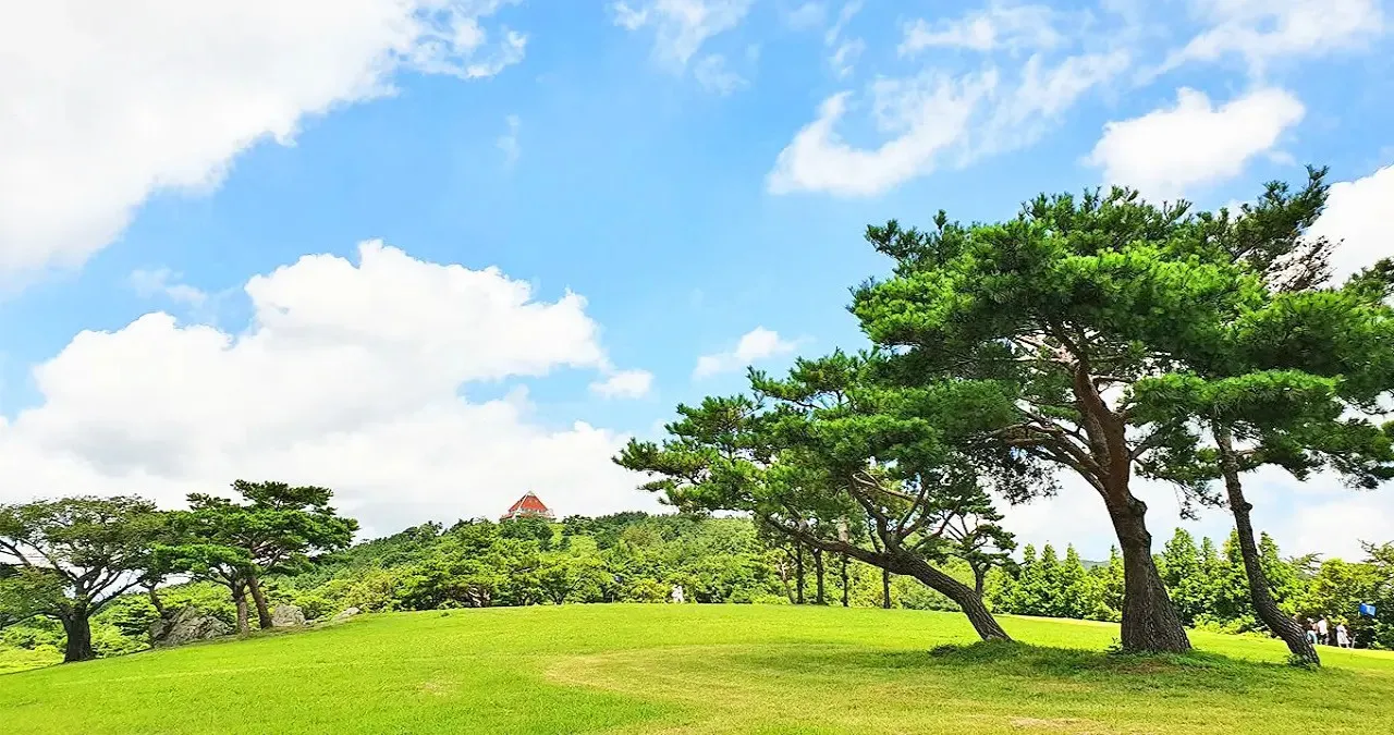 경주 화랑의 언덕 모습 / 사진=화랑의 언덕