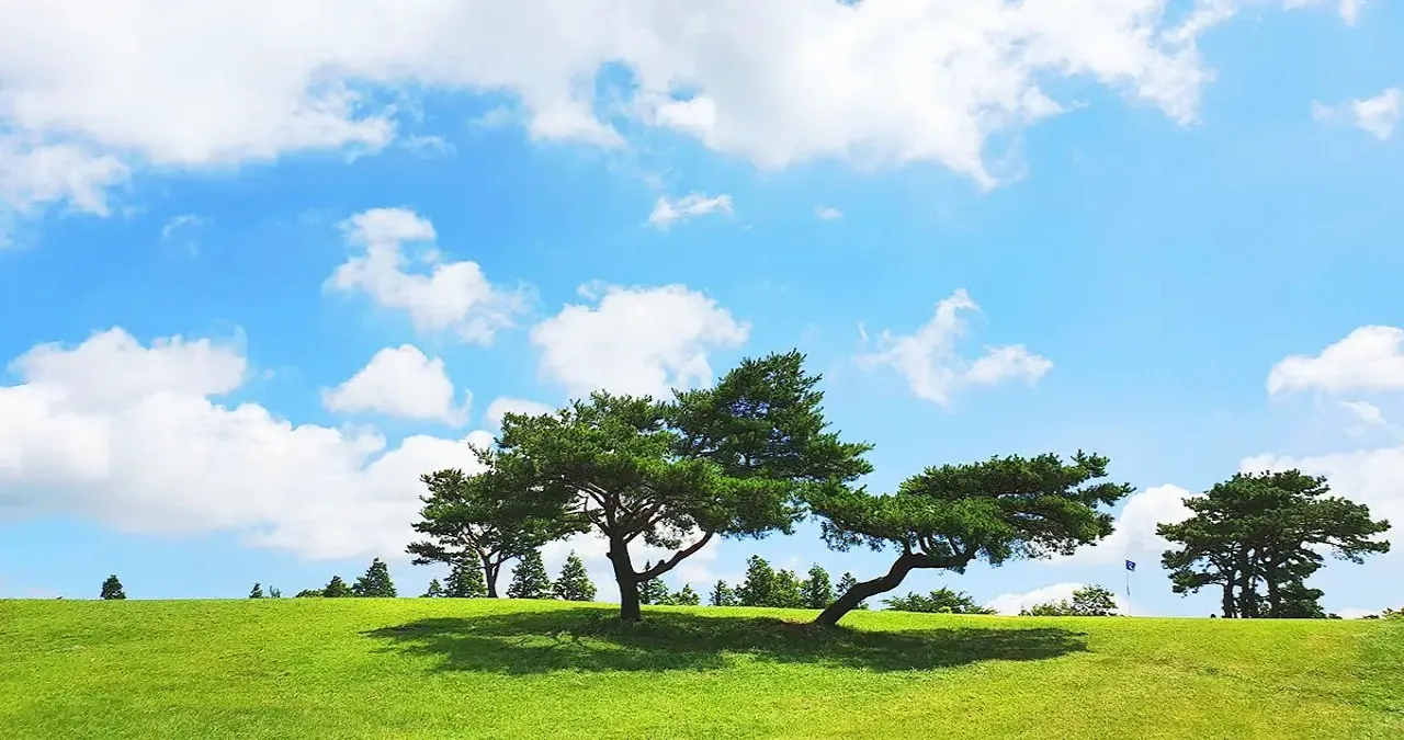 경주 화랑의 언덕 풍경 / 사진=화랑의 언덕