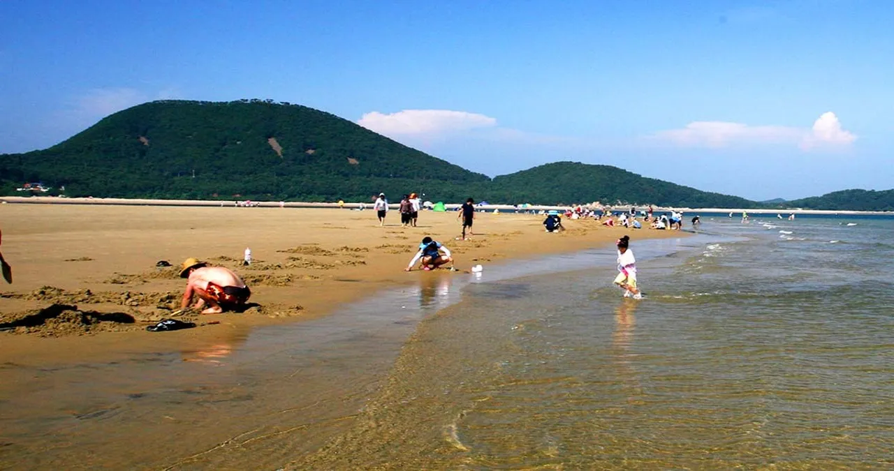 풀등모래섬 해수욕 / 사진=대이작도 풀등모래섬