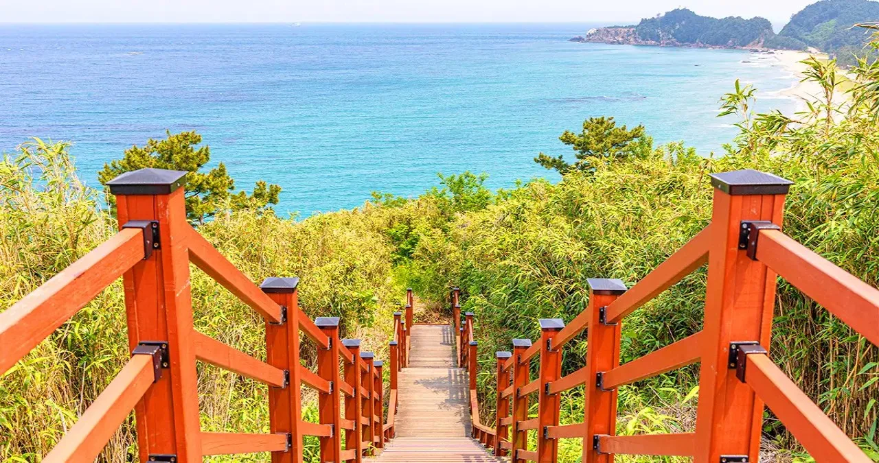 덕봉산 해안생태탐방로 풍경 / 사진=한국관광콘텐츠랩