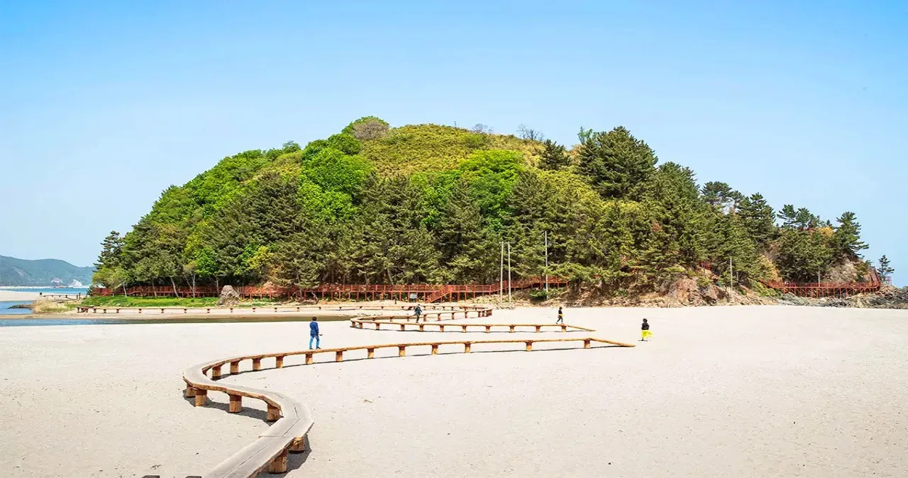 외나무다리 모습 / 사진=한국관광콘텐츠랩