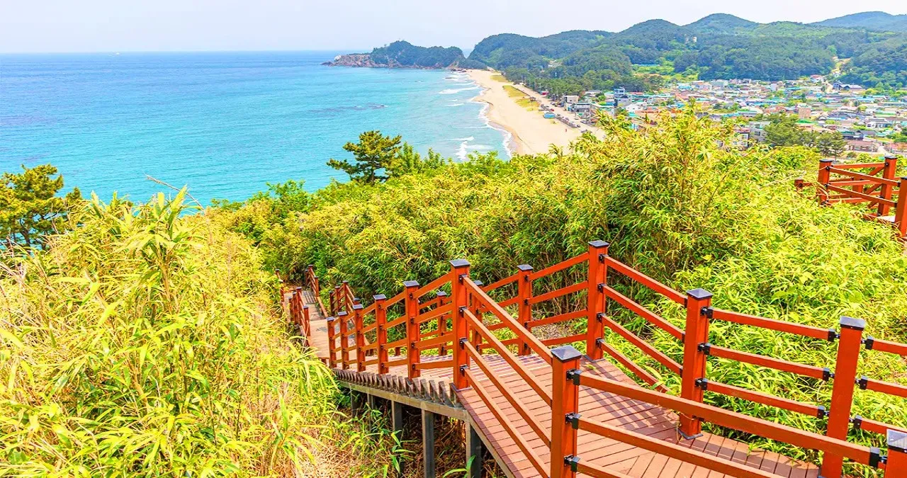 탐방로 조망 / 사진=한국관광콘텐츠랩