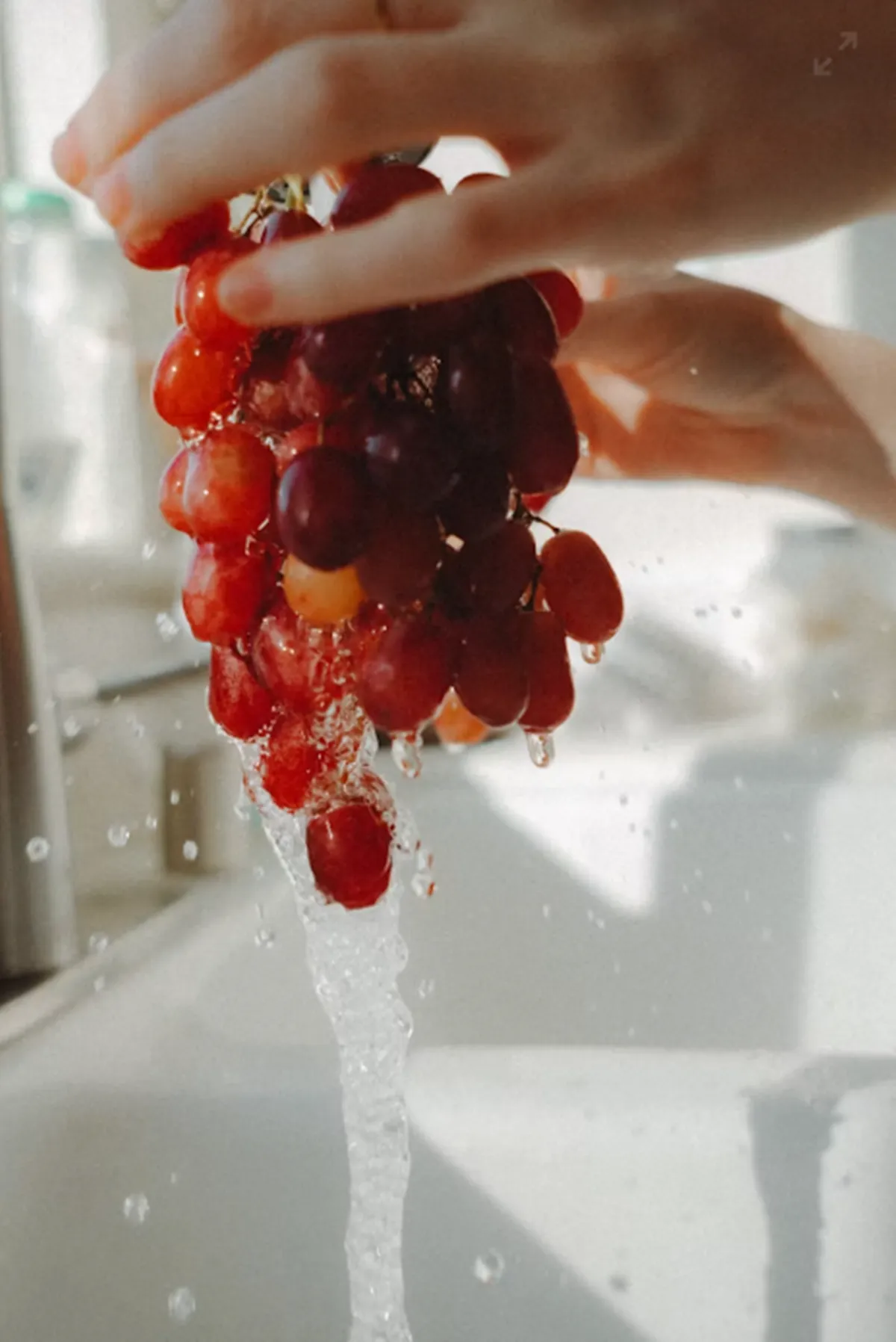 사진 : 포도 세척 / unsplash.com
