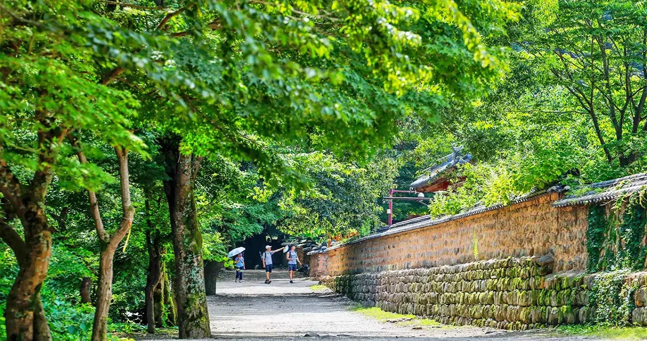 고창 선운사 풍경 / 사진=한국관광콘텐츠랩