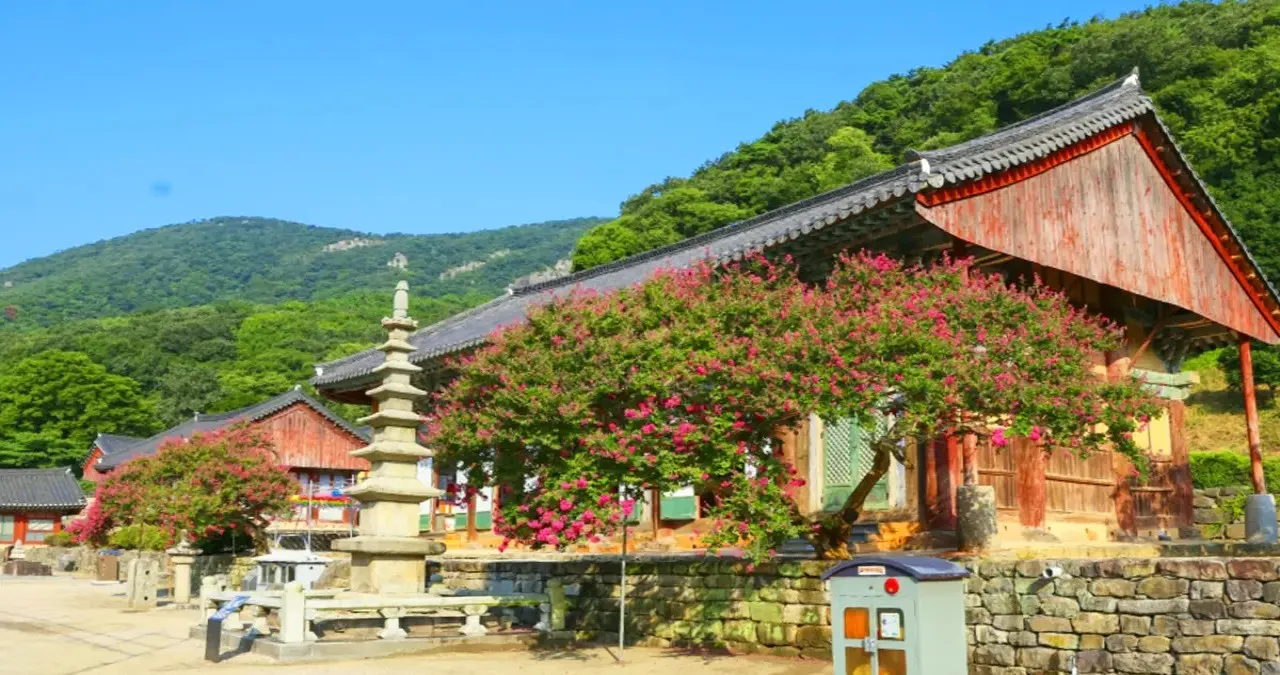 고창 선운사 경내 / 사진=선운사