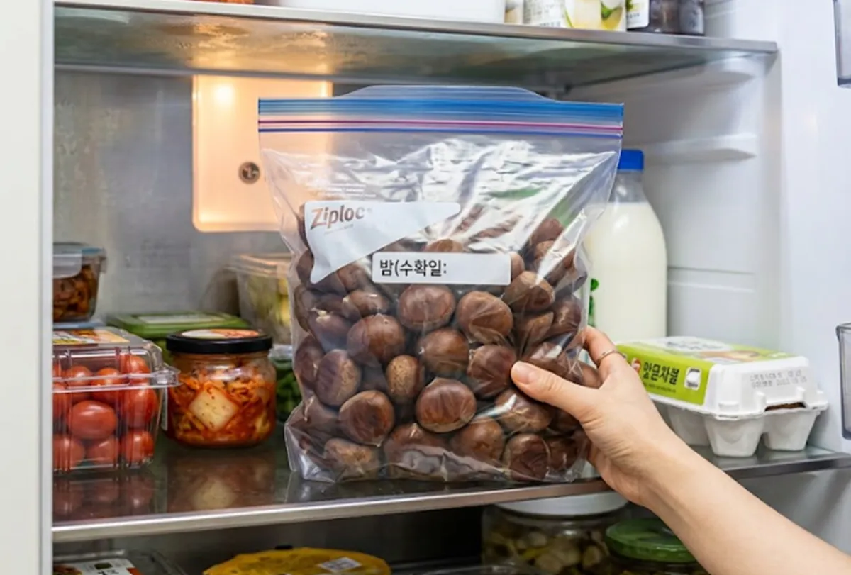 사진 :  밤 / 생성형 이미지