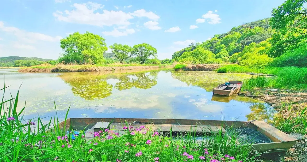 우포늪 모습 / 사진=한국관광콘텐츠랩