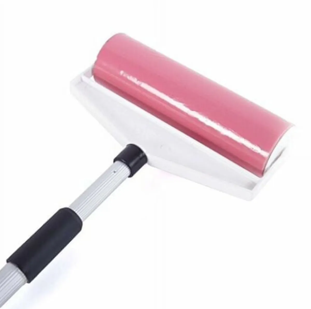 사진 : 돌돌이 / 생성형 이미지