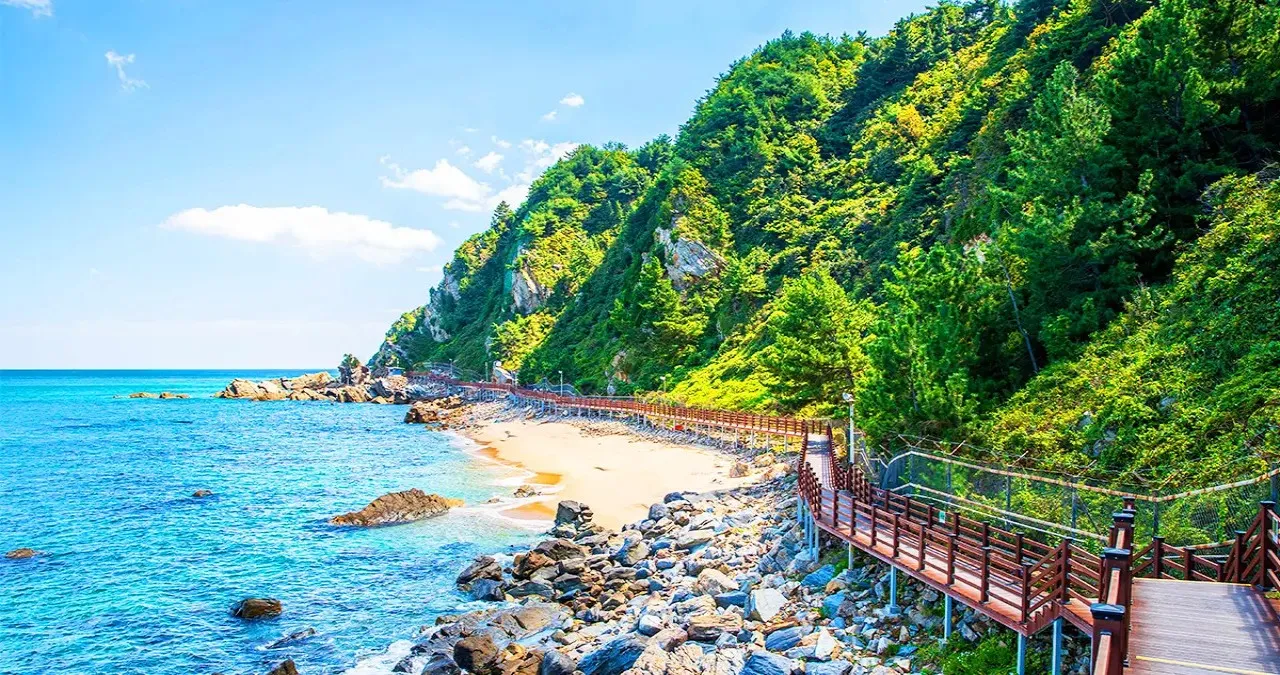 강릉 정동심곡 바다부채길 / 사진=한국관광콘텐츠랩