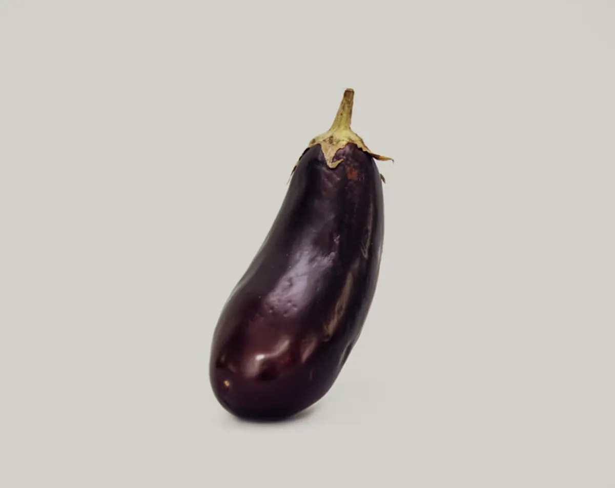 사진 : 가지 / unsplash.com