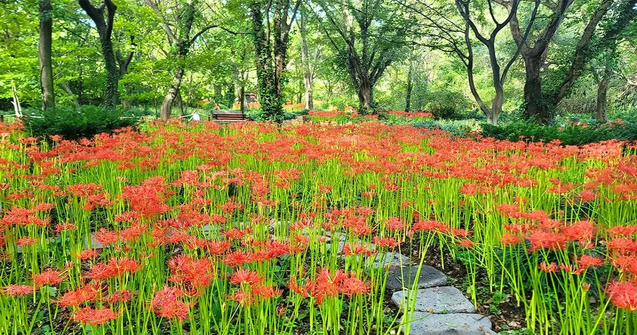 기청산식물원 / 사진=기청산식물원