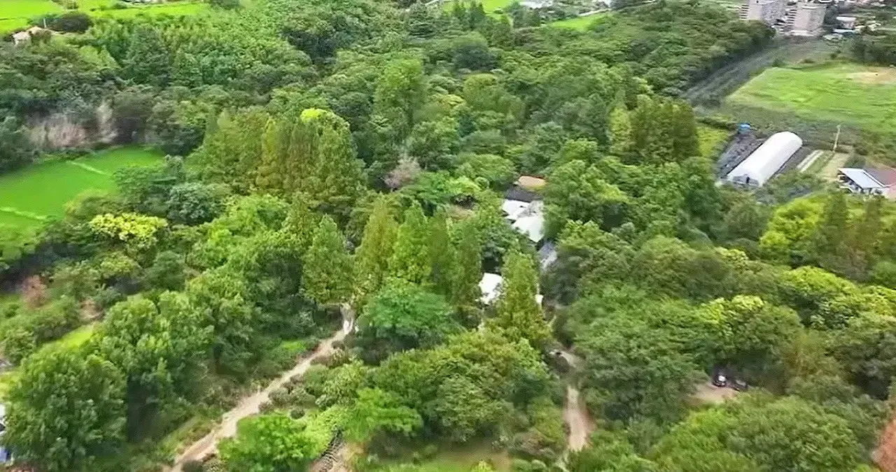 기청산식물원 전경 / 사진=기청산식물원