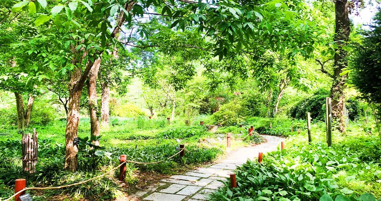 기청산식물원 풍경 / 사진=경북나드리