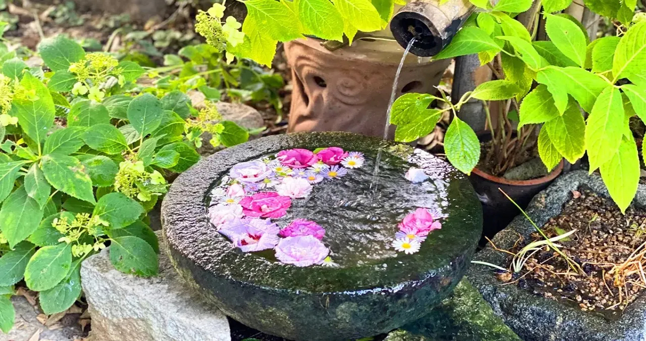 기청산식물원 포토존 / 사진=경북나드리