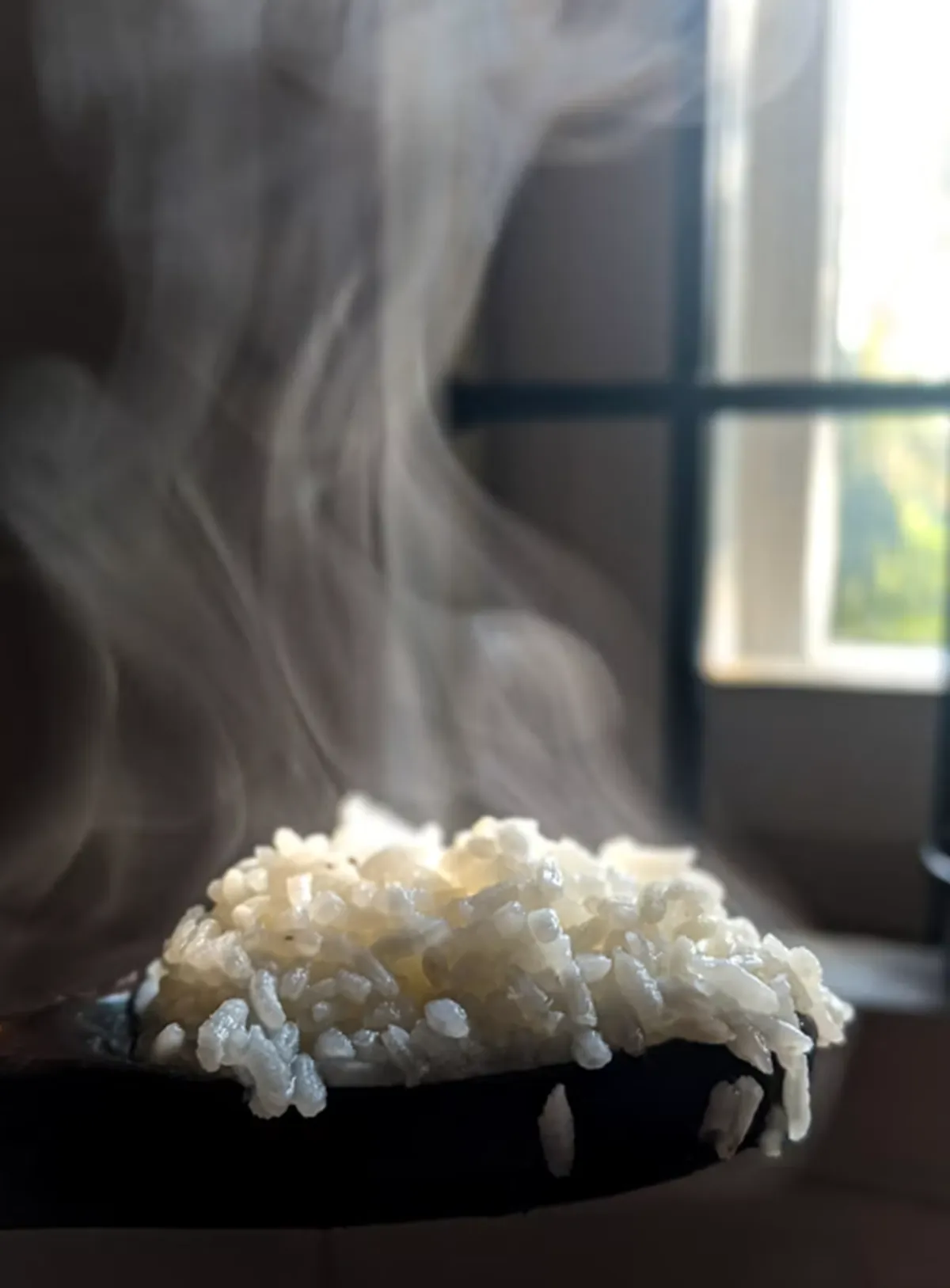 사진 : 밥  / unsplash.com