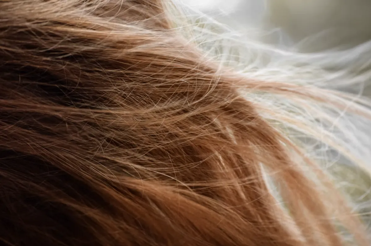 사진 : 머리카락 / unsplash.com
