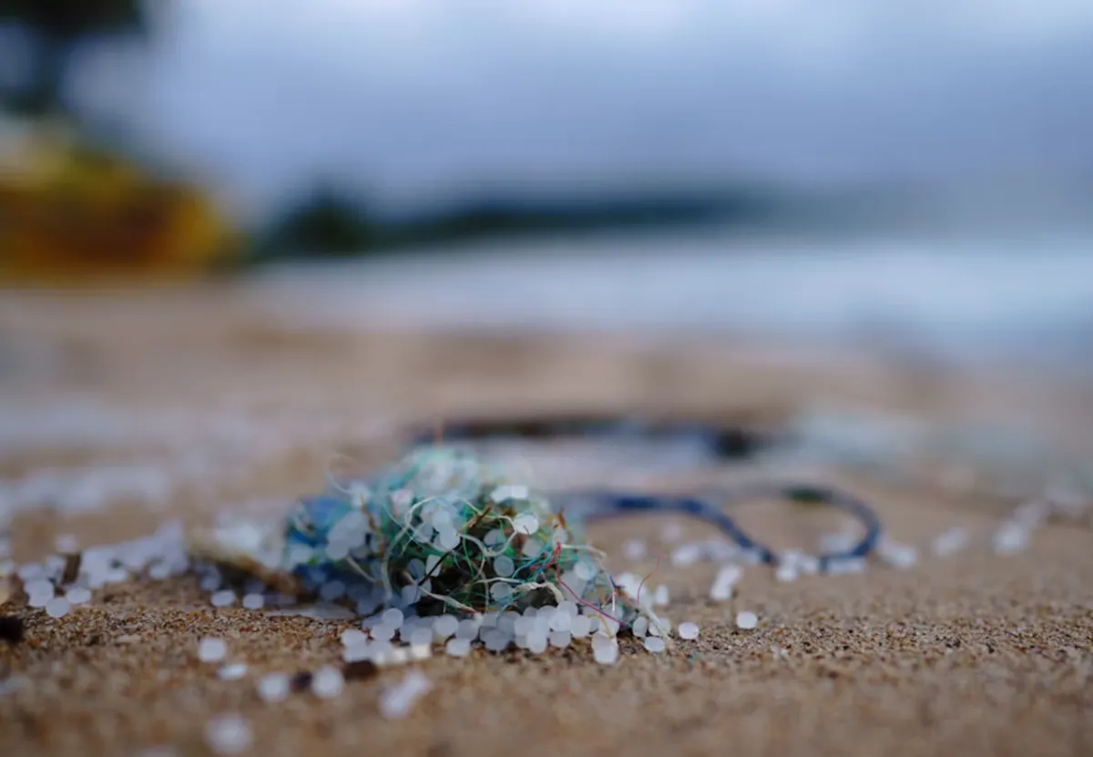 사진 : 미세플라스틱 / unsplash.com