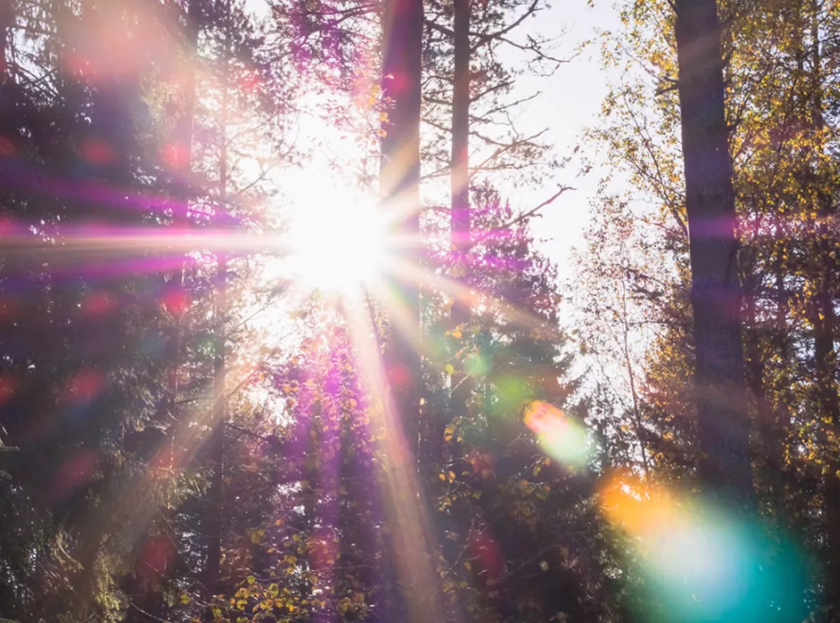 사진 : 햇빛 노출 / unsplash.com